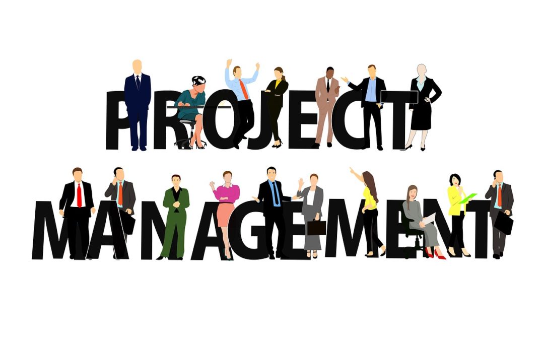 Project Executive
